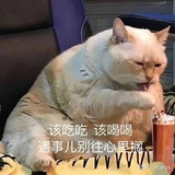 `ﻌ´