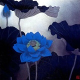 菩提