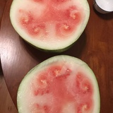阿妮