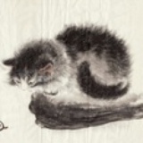 永生猫