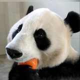 puhee