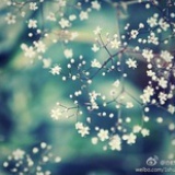 明说