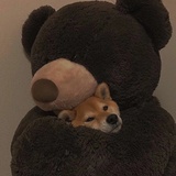 阳阳