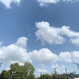 flywinter