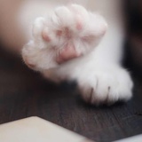 熹微
