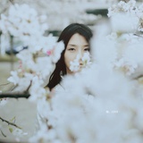 素月墨羽0911