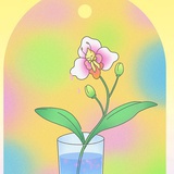 小八