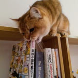 太妃糖