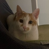 信得
