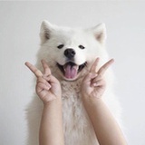 beibei