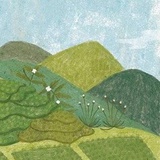 林见山
