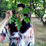 绿鼻子鹿