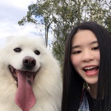 思思思文