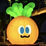 想去海边散🥕