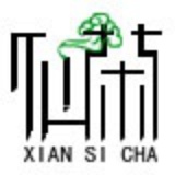 九龙壁茶盘