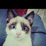 Oliver