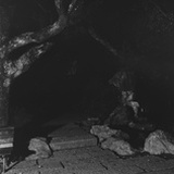 鲍维