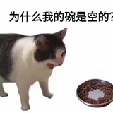 电子书狗