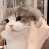 起名困难症