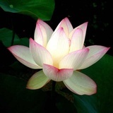 生生不息息