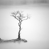 维以不永怀