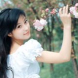 黄金小豆