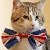 English Style