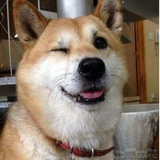 陈一二