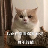 Ttttt