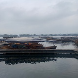 小晖加班忙