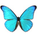 luoliang
