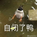 小昕
