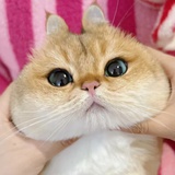 沩悯界