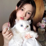 偷走月亮的猫🌕