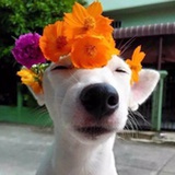 九月的夏天
