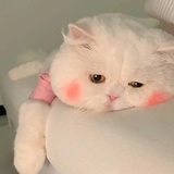 suok_