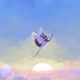 入场费五元