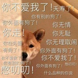 上直