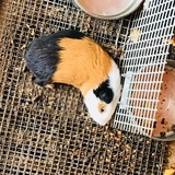 云和山人