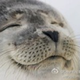 小黑宅