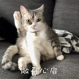 今天清晨