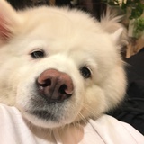 人事遇