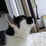 醉倚竹