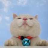 圈圈圆圆圈圈