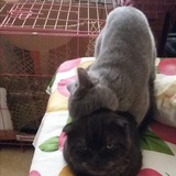 依然那么帅
