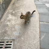 Wendy张