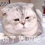 燕字回时