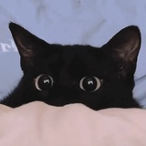 伤心小黑猫