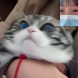 白胖老菠萝