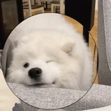 暮冬烤雪